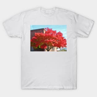 Red Maple Tree T-Shirt